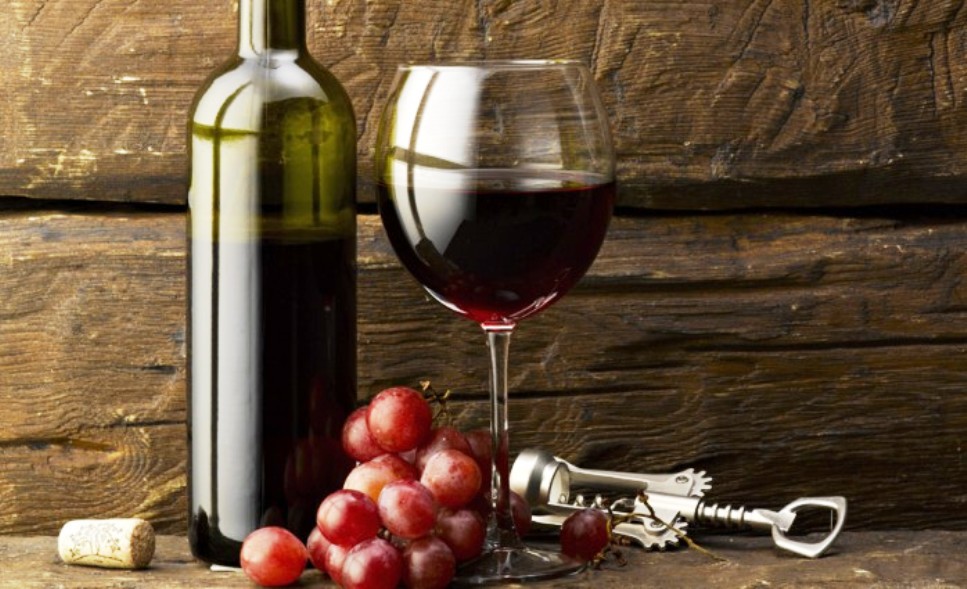 El maravilloso vino de altura - Revista Salvador