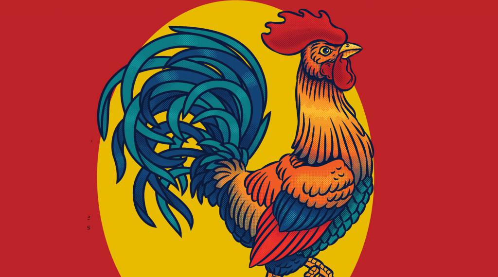El gallinero se está alborotando y recién es febrero - Revista Salvador