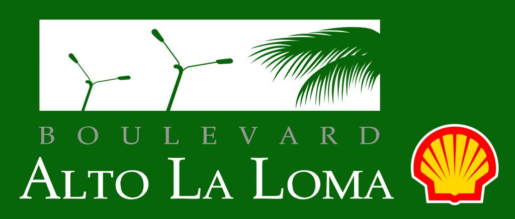 La calma que precede a la tormenta - Revista Salvador