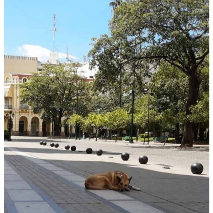 Escribir la Nueva Historia de Salta - Revista Salvador