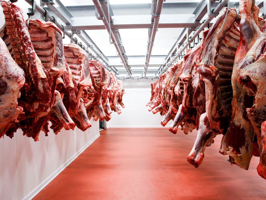 ¿Carne para todos? 1 - Revista Salvador ¿Carne para todos? - Revista Salvador