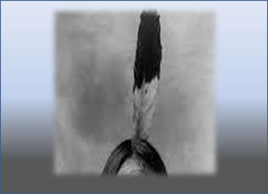<strong>Hispanidad, colonización y el fanatismo de la pluma en la cabeza</strong> 7 - Revista Salvador <strong>Hispanidad, colonización y el fanatismo de la pluma en la cabeza</strong> - Revista Salvador