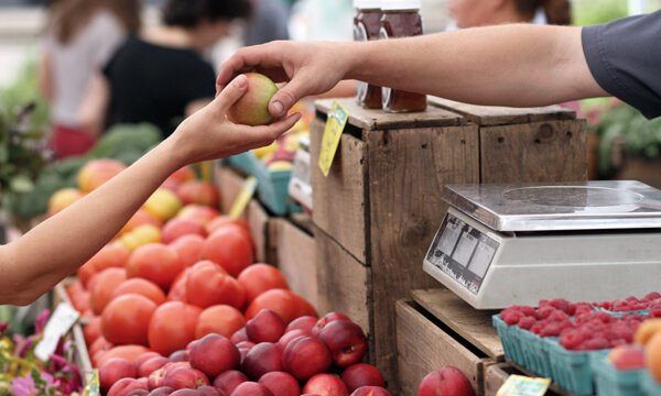 Desde que asumió Fernández, los alimentos, la ropa y los alimentos aumentaron más de 560% - Revista Salvador
