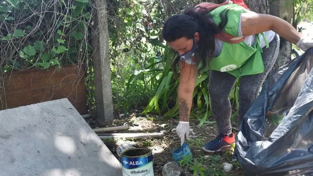 Se registró en Tartagal el primer caso de dengue - Revista Salvador
