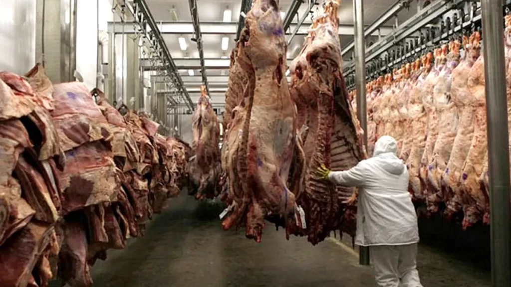 Las exportaciones de carne fueron las más altas en 57 años - Revista Salvador