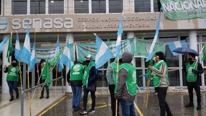 El sindicato de SENASA paralizó las exportaciones argentinas - Revista Salvador