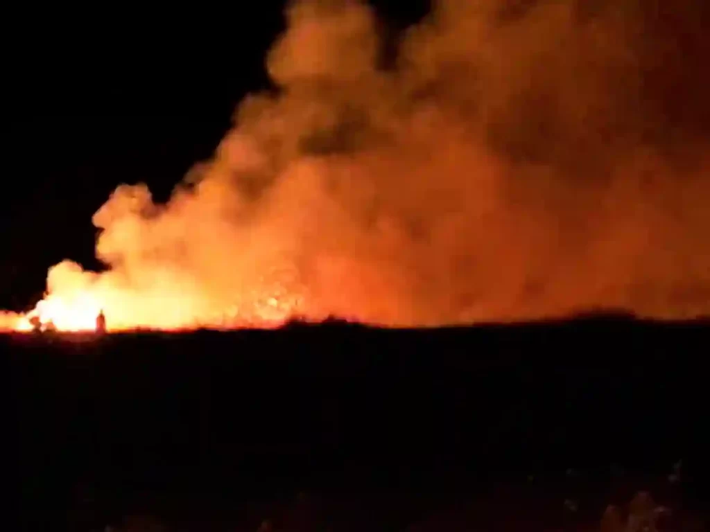 Fuego en Animaná - Revista Salvador