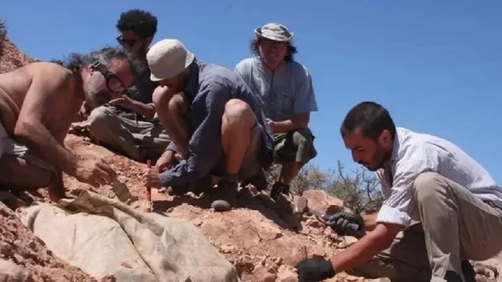Científicos argentinos descubren el registro humano más antiguo de Sudamérica - Revista Salvador