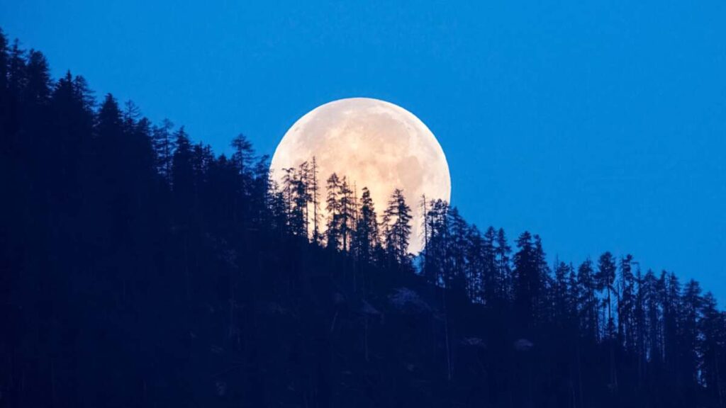 Se viene la Luna llena de Esturión - Revista Salvador