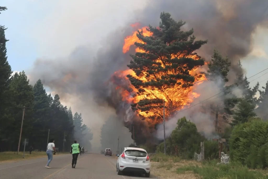 Grupos de terroristas mapuches iniciaron nuevos incendios en Chubut - Revista Salvador