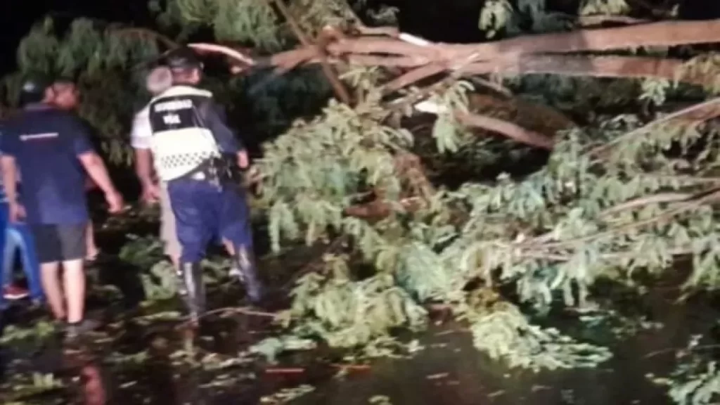 El temporal dejó decenas de evacuados y daños materiales en el norte de Salta - Revista Salvador