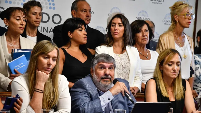 A pesar de la negativa del Kirchnerismo el Senado aprobó la “Ley antimafia” - Revista Salvador