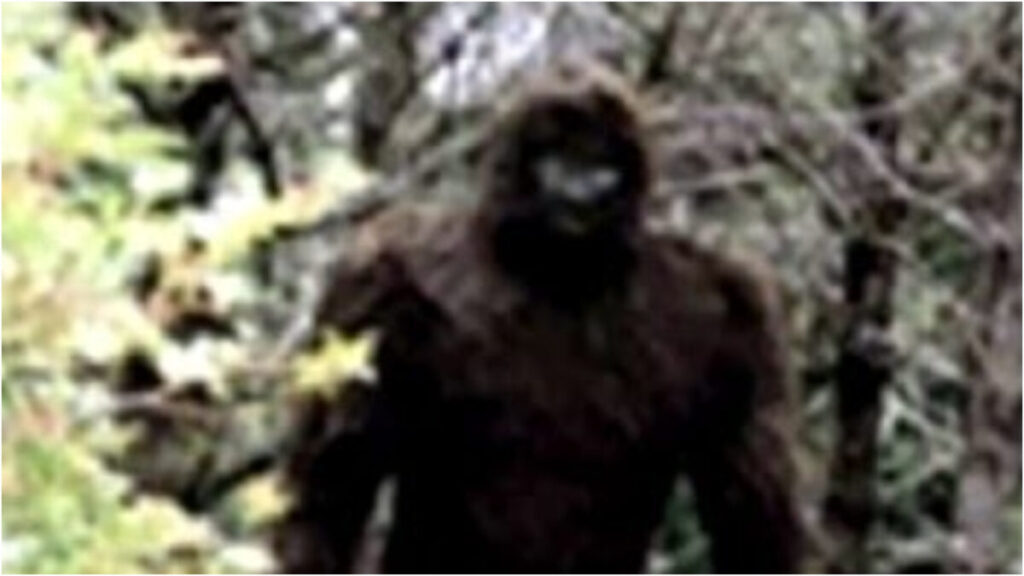 Nueva aparición del “Ucumar” en Metán - Revista Salvador