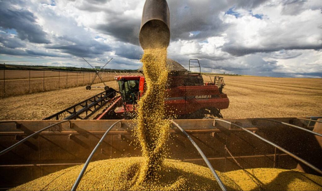 China se apresta a comprar más soja en Argentina - Revista Salvador