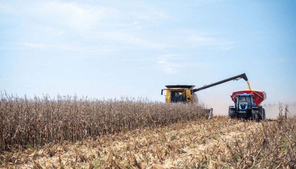 Sigue creciendo el volumen de las exportaciones agroindustriales - Revista Salvador