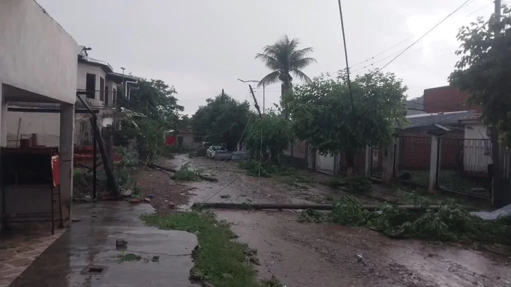 Un fuerte temporal de lluvia y viento causó destrozos en Aguas Blancas - Revista Salvador