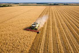 Cosecha récord: el agro proyecta hasta 160 millones de toneladas - Revista Salvador