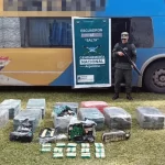 Salvador - Revista Salvador