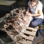 Salvador - Revista Salvador