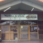 Salvador - Revista Salvador