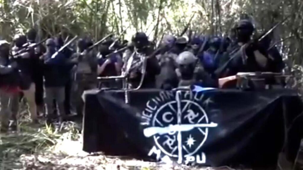 En la Patagonia temen un rebrote del terrorismo mapuche - Revista Salvador