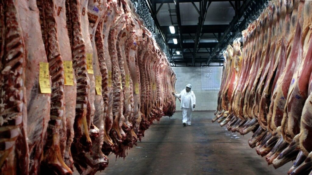 Se incrementó 54% la exportación de carne vacuna en el primer trimestre del año - Revista Salvador