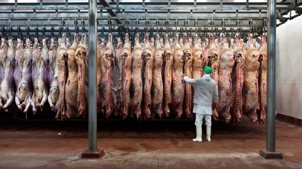 Argentina cuadruplicó las exportaciones de carne a Estados Unidos, pero cayo el consumo interno - Revista Salvador