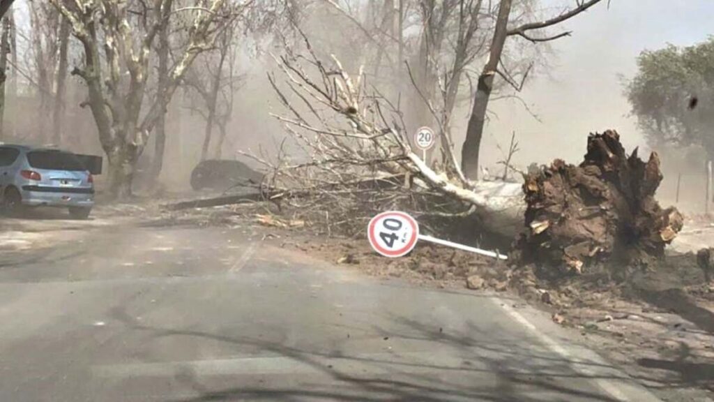 Alerta por viento Zonda en la zona cordillerana de Salta 1 - Revista Salvador Alerta por viento Zonda en la zona cordillerana de Salta - Revista Salvador