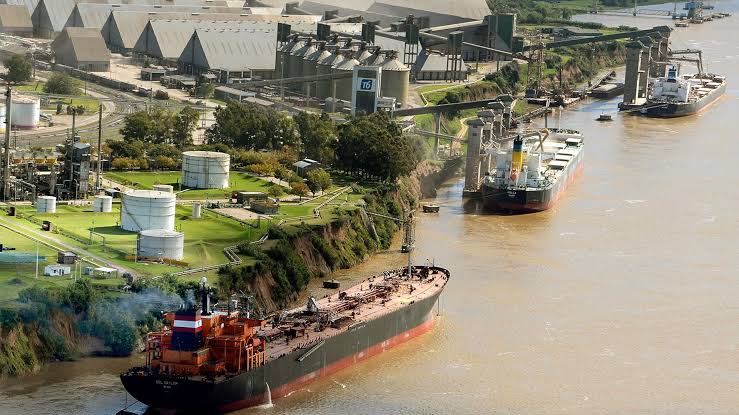 Las exportaciones argentinas crecieron 25% en el primer semestre - Revista Salvador