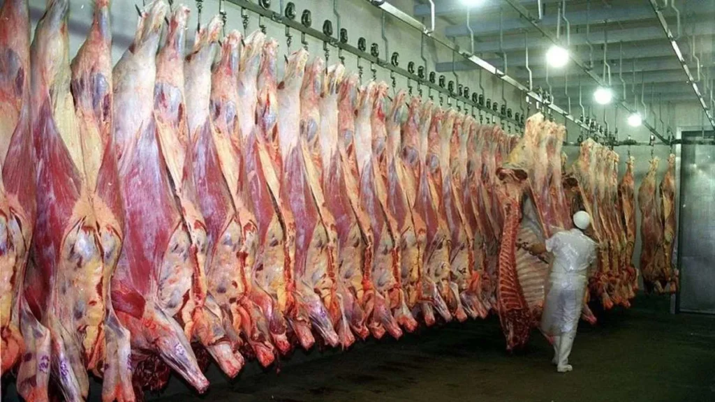 Exportaciones de carne vacuna crecieron 42% y ya generaron casi u$s2.800 millones en 2026 1 - Revista Salvador Exportaciones de carne vacuna crecieron 42% y ya generaron casi u$s2.800 millones en 2026 - Revista Salvador