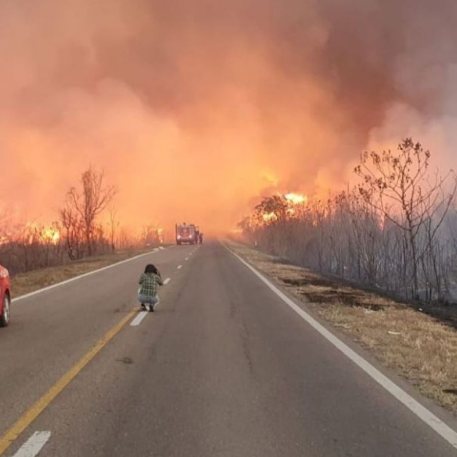 En julio se quemaron 8.700 hectáreas, casi 70 veces más que el año pasado en Salta 1 - Revista Salvador En julio se quemaron 8.700 hectáreas, casi 70 veces más que el año pasado en Salta - Revista Salvador