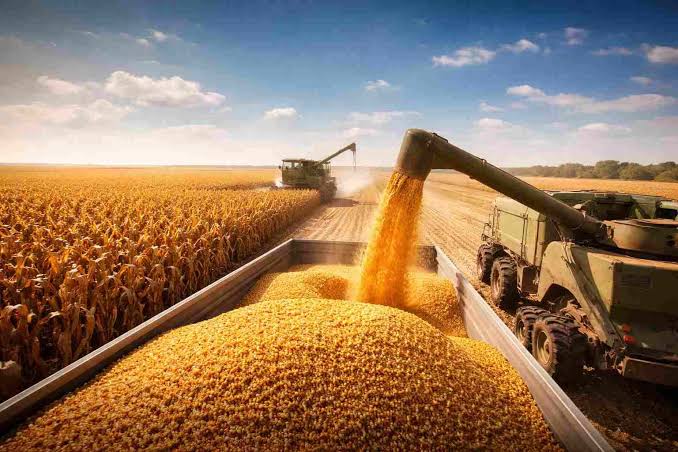 Otro récord del campo argentino: proyectan 157,9 millones de toneladas de granos para la nueva campaña 1 - Revista Salvador Otro récord del campo argentino: proyectan 157,9 millones de toneladas de granos para la nueva campaña - Revista Salvador