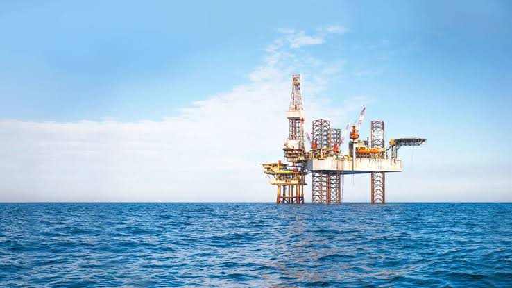Tras el anuncio de Milei caen las acciones de Rockhopper y Navitas, las petroleras del proyecto en Malvinas 1 - Revista Salvador Tras el anuncio de Milei caen las acciones de Rockhopper y Navitas, las petroleras del proyecto en Malvinas - Revista Salvador