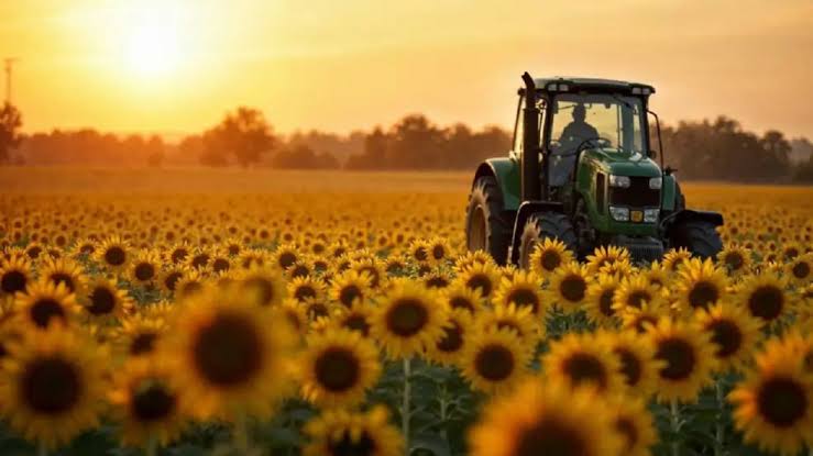 En nueve meses el agro argentino rompió el récord anual histórico de 2021 1 - Revista Salvador En nueve meses el agro argentino rompió el récord anual histórico de 2021 - Revista Salvador