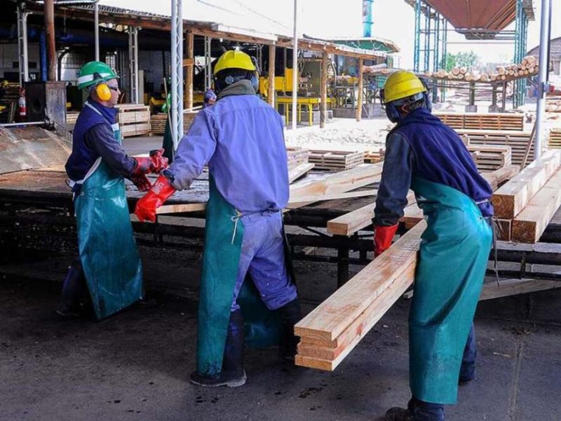 Trabajadores