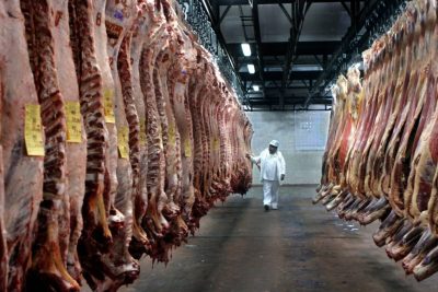 carne