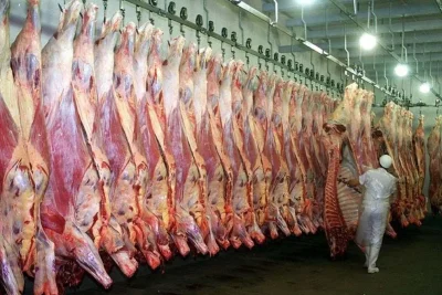 carne