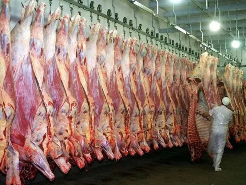 carne