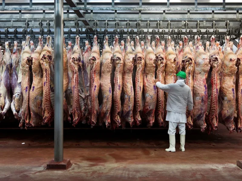 carne1
