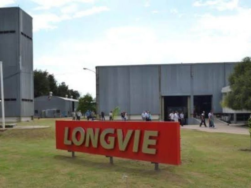 longvie
