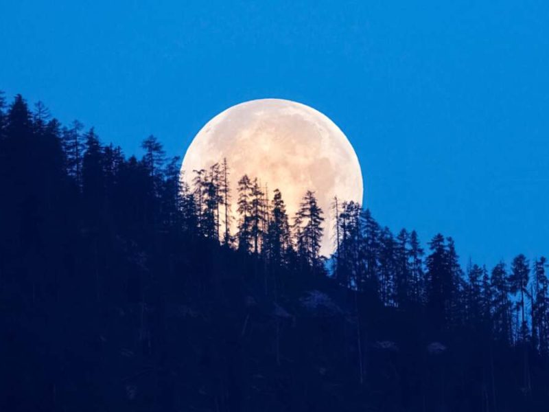 luna