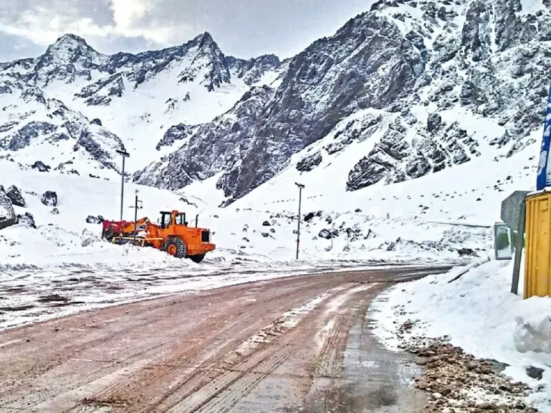 nieve