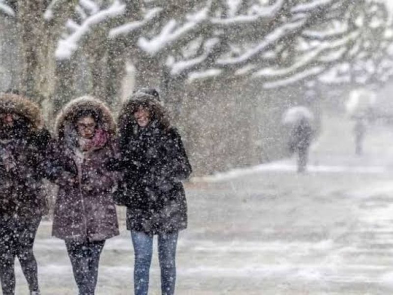 nieve
