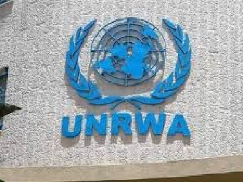onu1