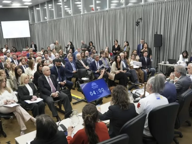 plenario-audiencia-publica-ley-glaciares-diputados