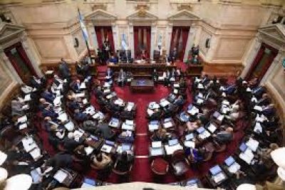 senado