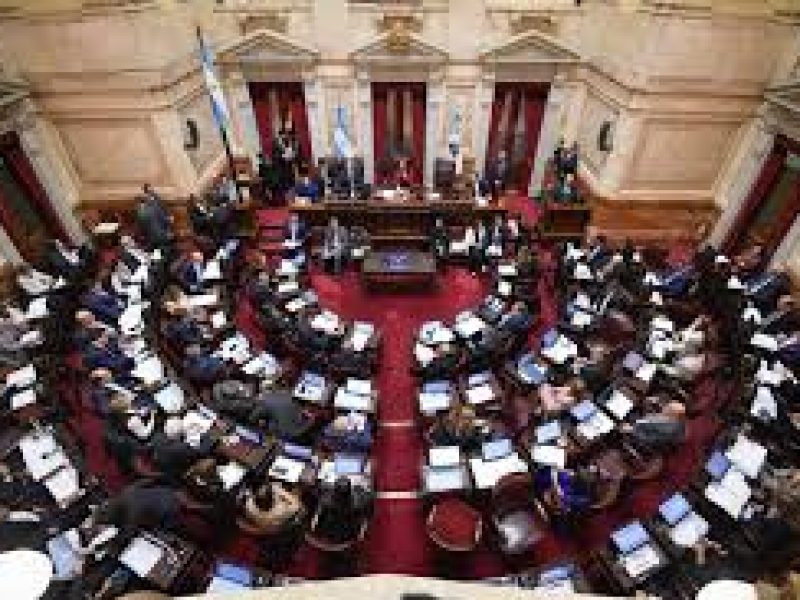 senado